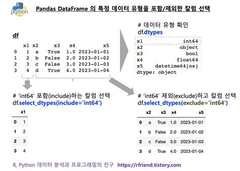 의 데이터 유형별 칼럼 - pandas dtype
